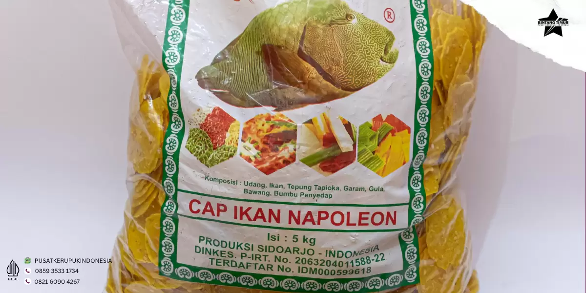 tempe bulat tempe bulat